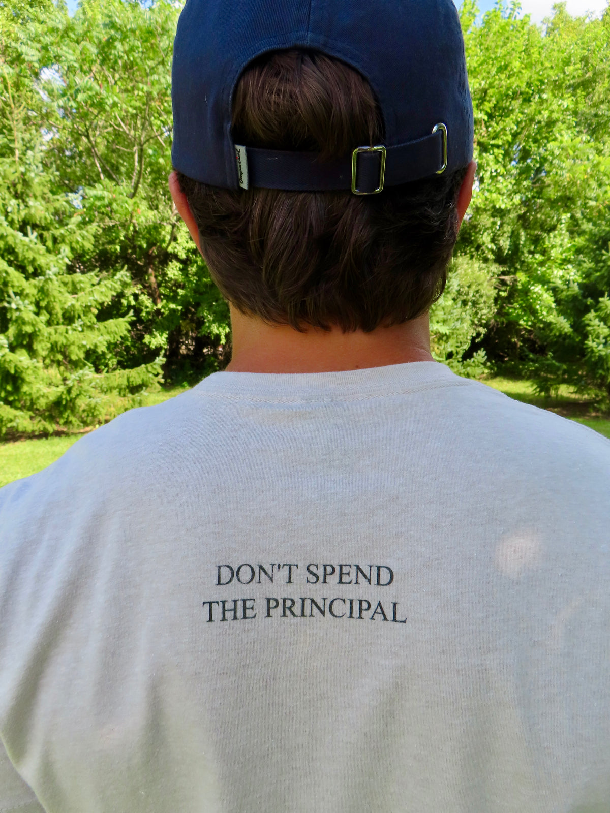 Don't Spend the Principal t-shirt in Sand, front view