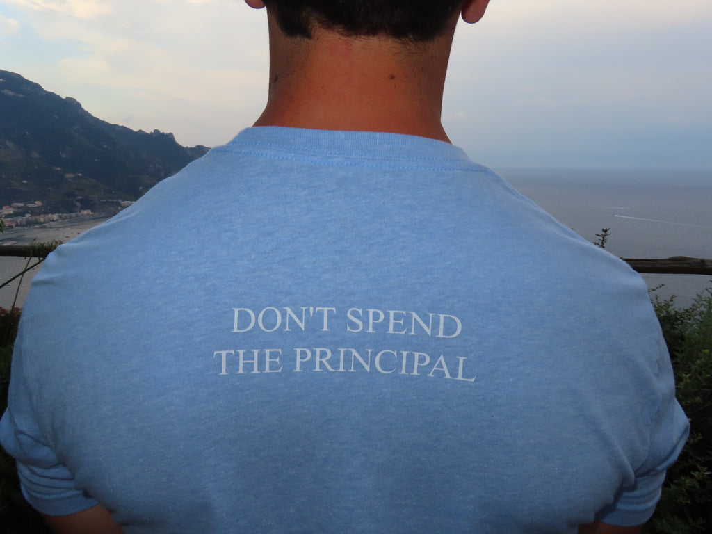 Don't Spend the Principal T-Shirt (Heather Columbia Blue)
